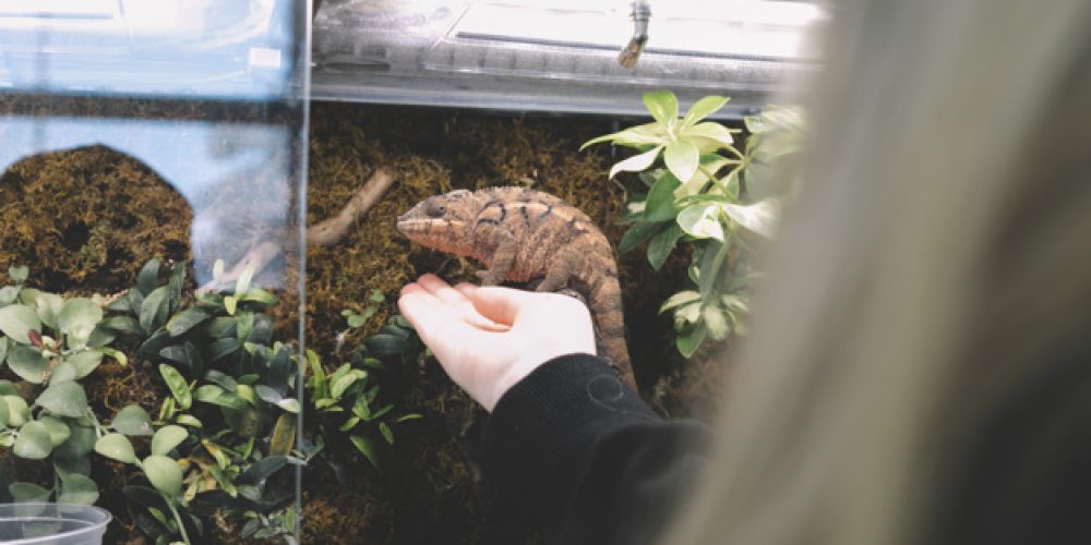 Žena žije 12 let v teráriu, s okolím komunikuje syčením